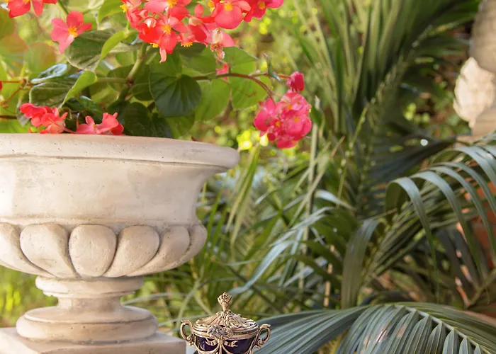 Bed & Breakfast Oriani Rome